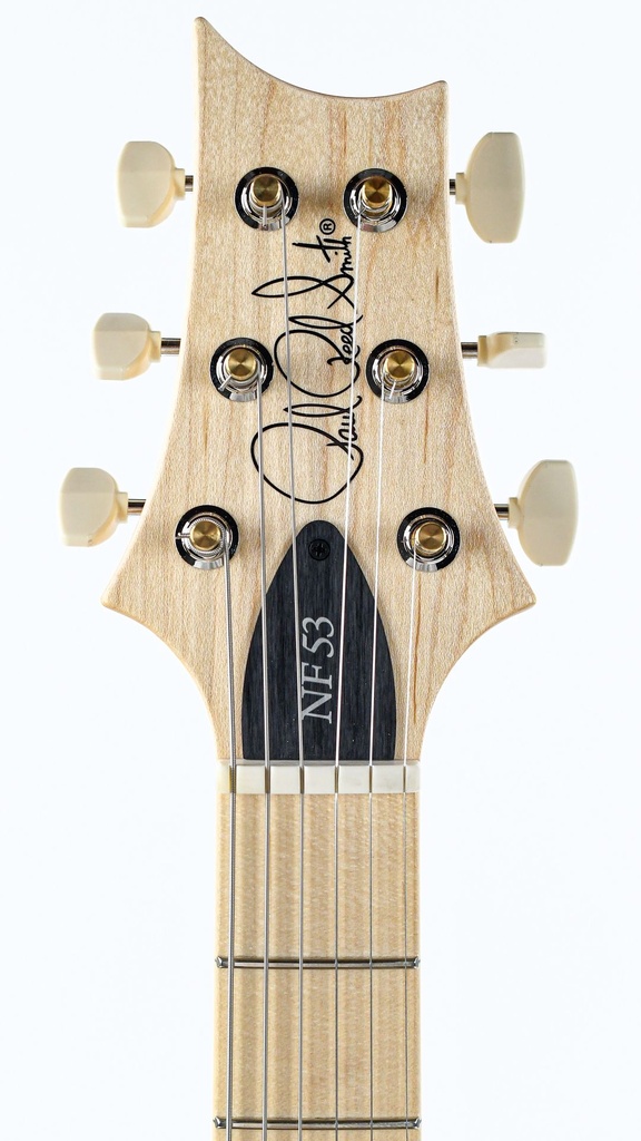 PRS NF53 Black Doghair-4.jpg