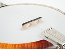 Bulas Resonator Banjo Echo Valley-10.jpg