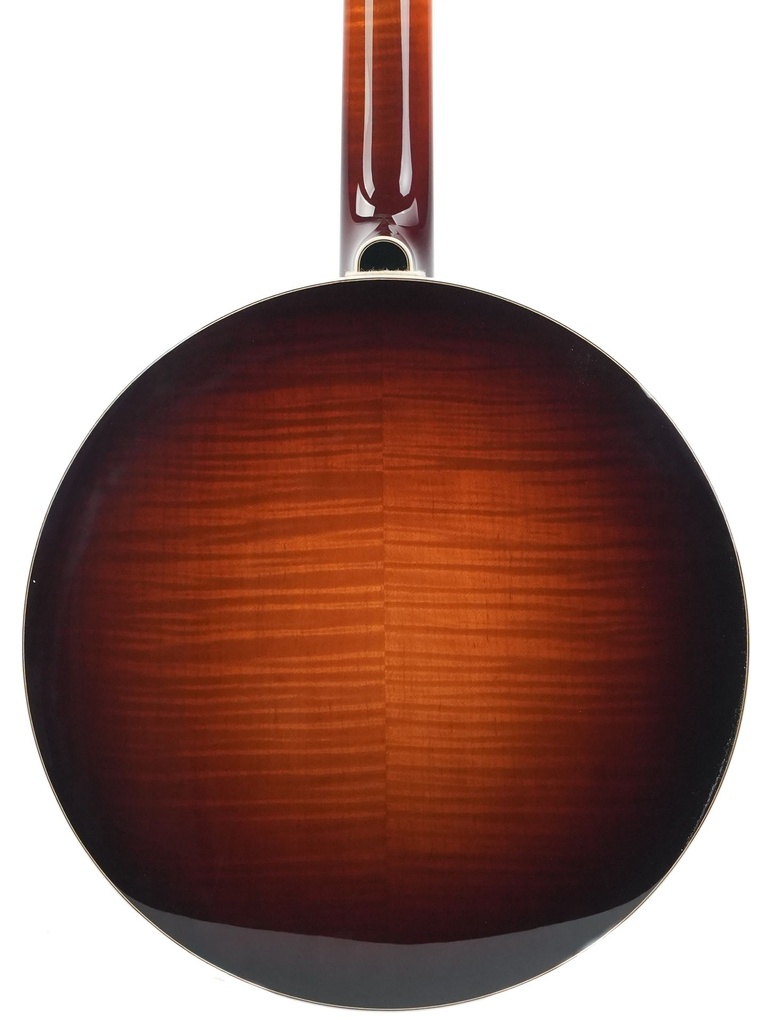 Bulas Resonator Banjo Echo Valley-7.jpg