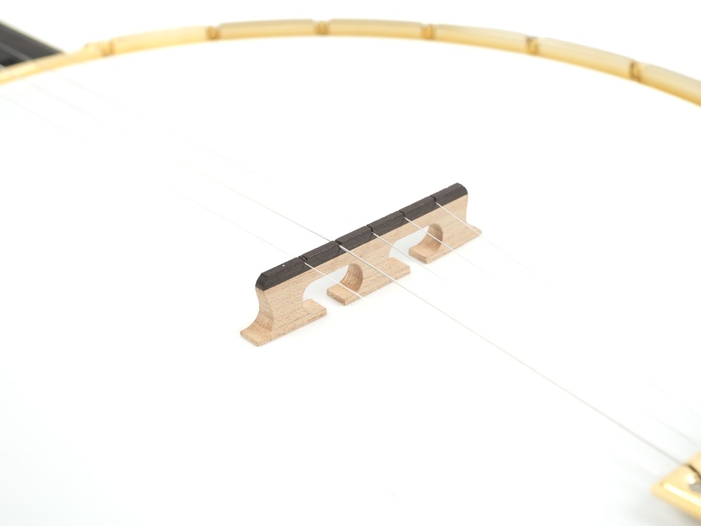 Bulas Old Joe 12" Open-back banjo-10.jpg