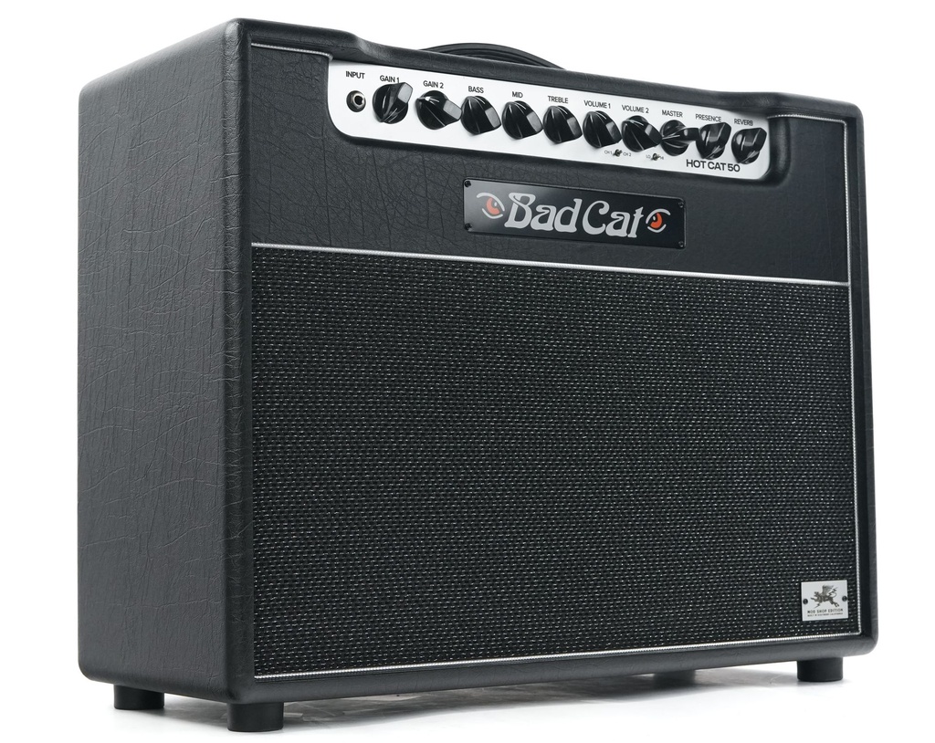 Hot Cat 50 Mod Shop Combo 240V-8.jpg