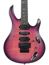 PRS SE Chleo Herman Li OD-3.jpg
