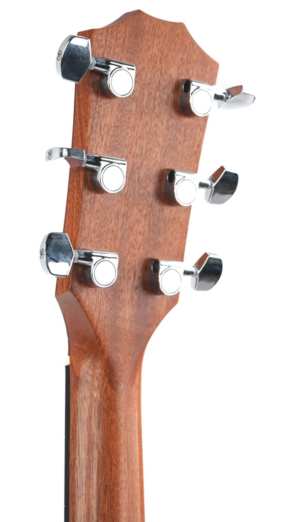 Taylor 210CE 2013-5.jpg