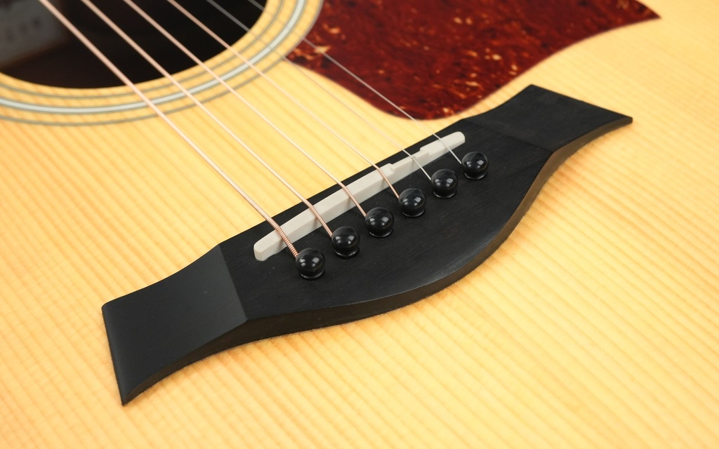 Taylor 210CE 2013-10.jpg