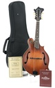 Eastman MD315 Adirondack Wide Nut Amberburst-1.jpg