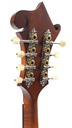 Eastman MD315 Adirondack Wide Nut Amberburst-5.jpg
