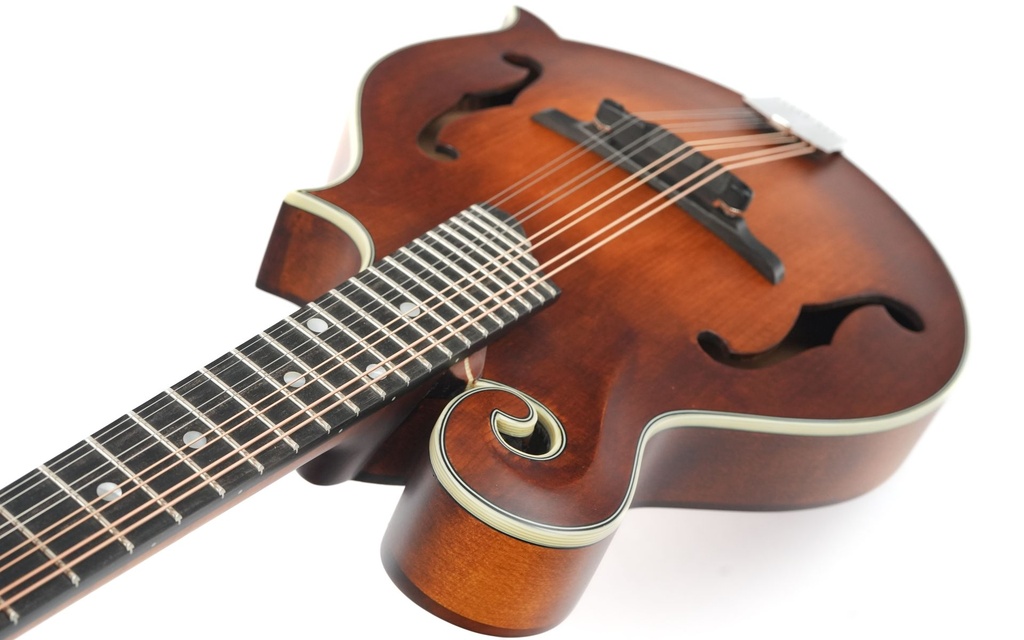 Eastman MD315 Adirondack Wide Nut Amberburst-8.jpg