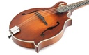 Eastman MD315 Adirondack Wide Nut Amberburst-12.jpg