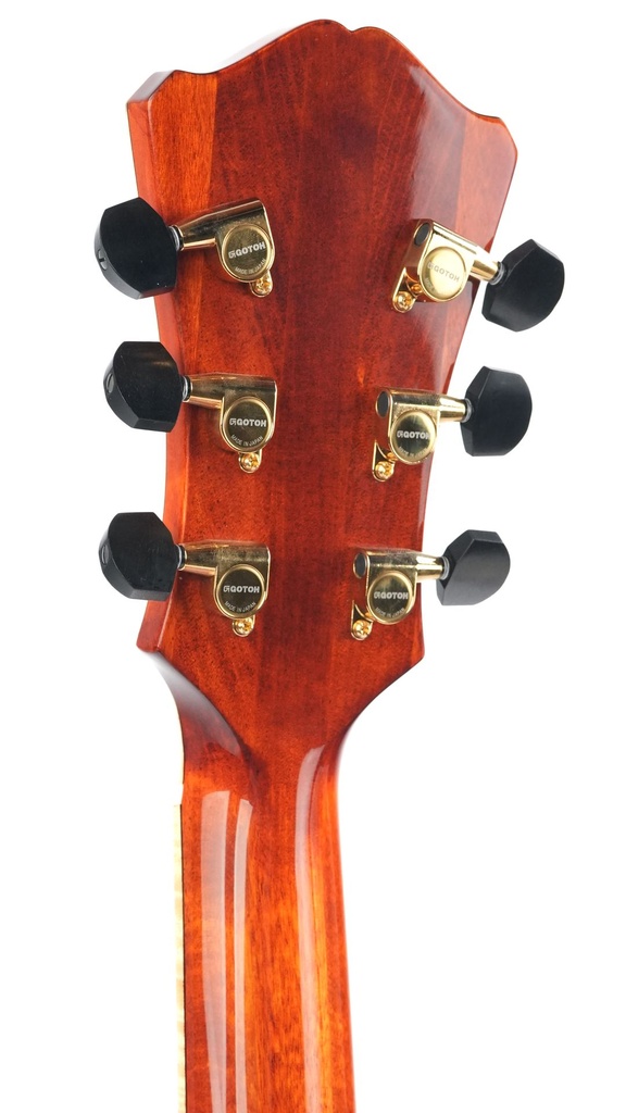 Eastman AR580CE HB-5.jpg