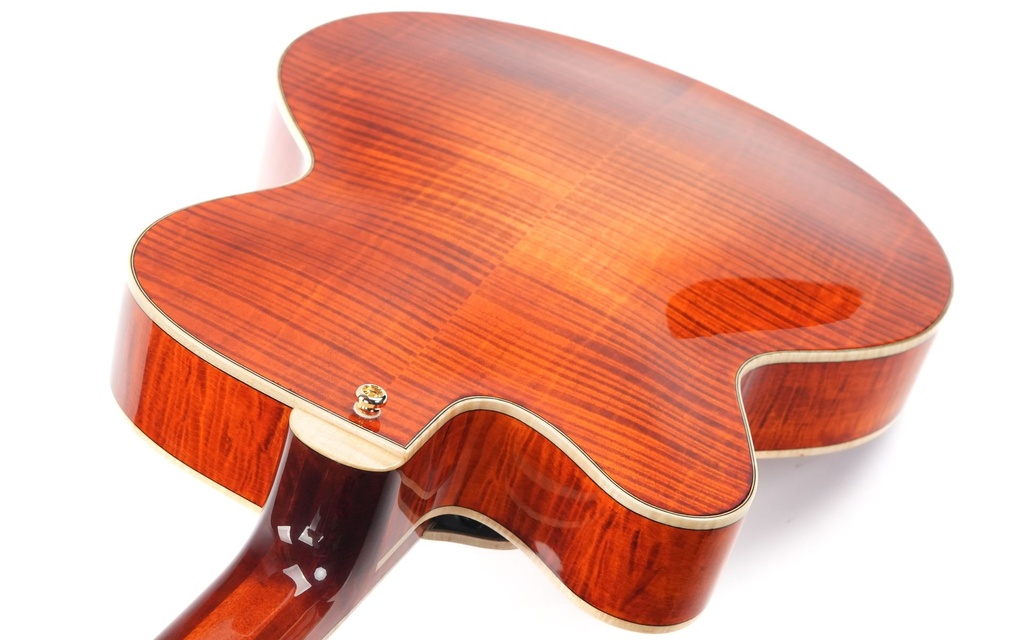 Eastman AR580CE HB-9.jpg