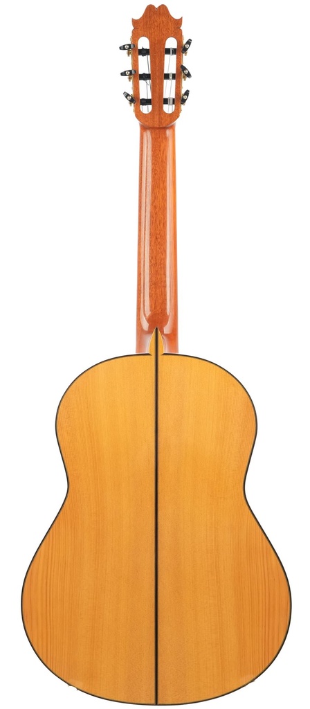 Fransisco Sanchez Flamenco 2016-7.jpg