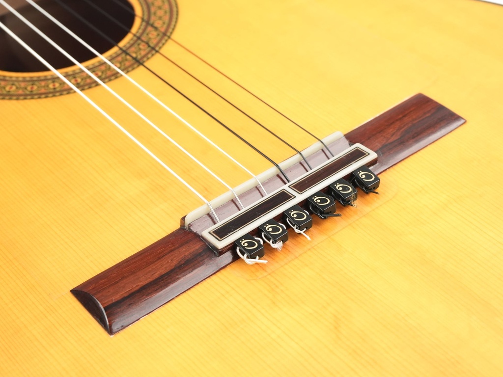 Fransisco Sanchez Flamenco 2016-10.jpg