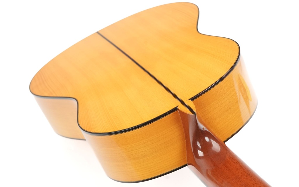 Fransisco Sanchez Flamenco 2016-9.jpg