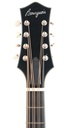 Bourgeois M5O Black Top Octave Mandolin-4.jpg