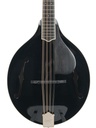 Bourgeois M5O Black Top Octave Mandolin-3.jpg