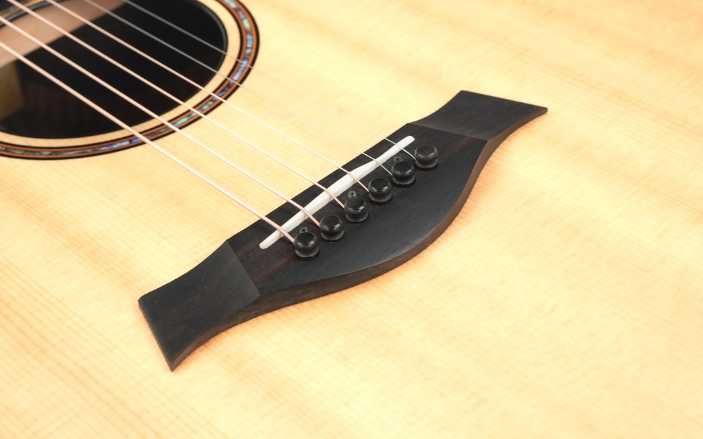 Taylor 914CE Spruce Rosewood V Class 2021-10.jpg