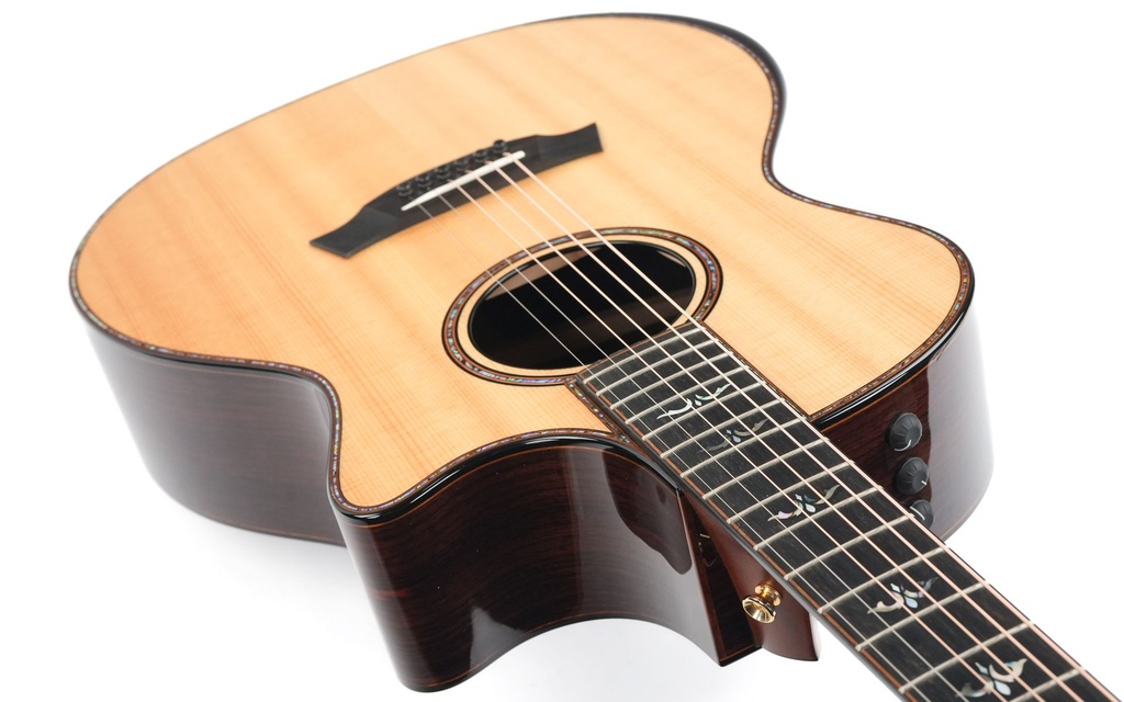 Taylor 914CE Spruce Rosewood V Class 2021-8.jpg
