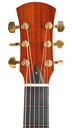 Sobell Archtop 1983-4.jpg