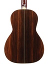 Santa Cruz 00 Eric Skye Cocobolo Adirondack 2015-7.jpg