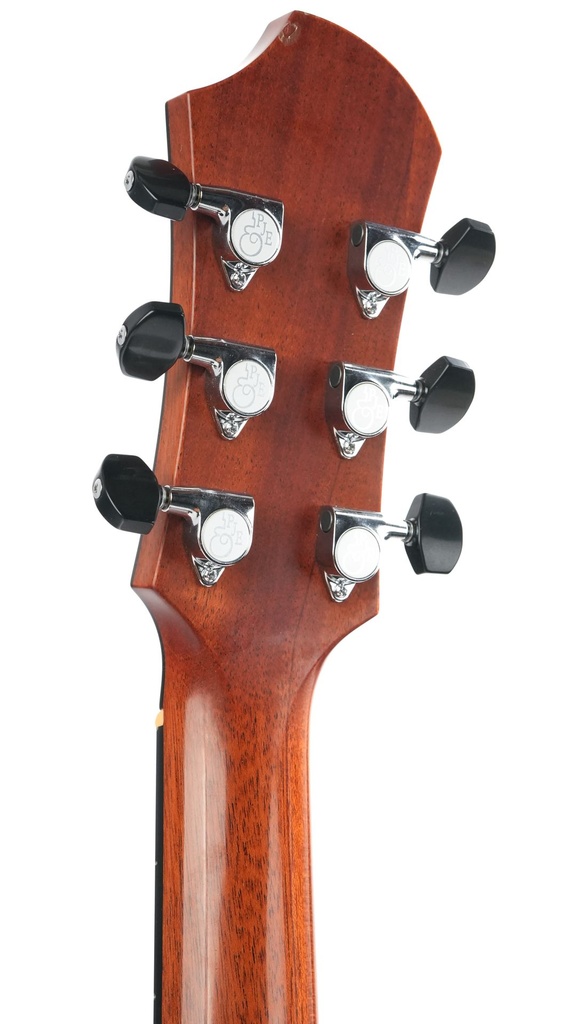 Patrick James Eggle Saluda Custom Rosewood 2021-5.jpg