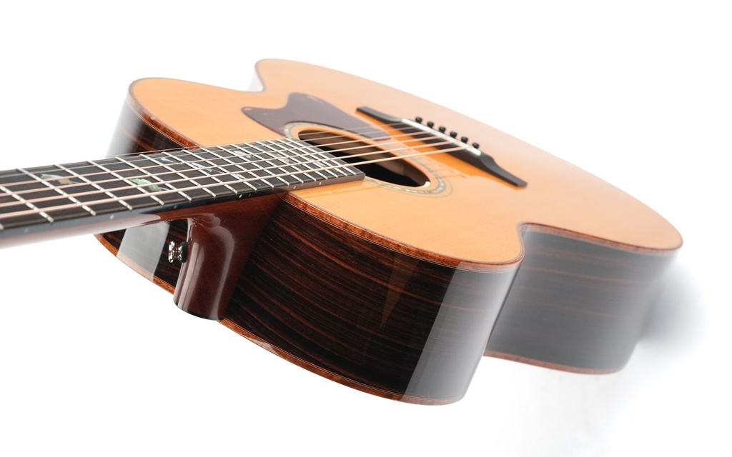 Patrick James Eggle Saluda Custom Rosewood 2021-8.jpg