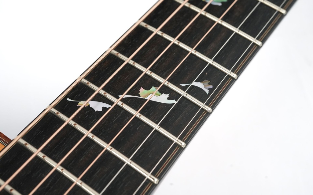 Patrick James Eggle Saluda Custom Rosewood 2021-12.jpg