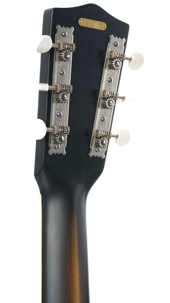 National Style O 14 fret 2024-5.jpg