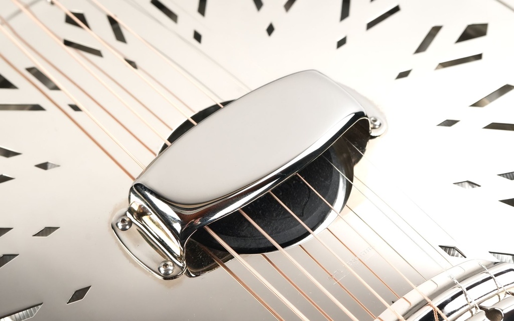 National Style O 14 fret 2024-10.jpg