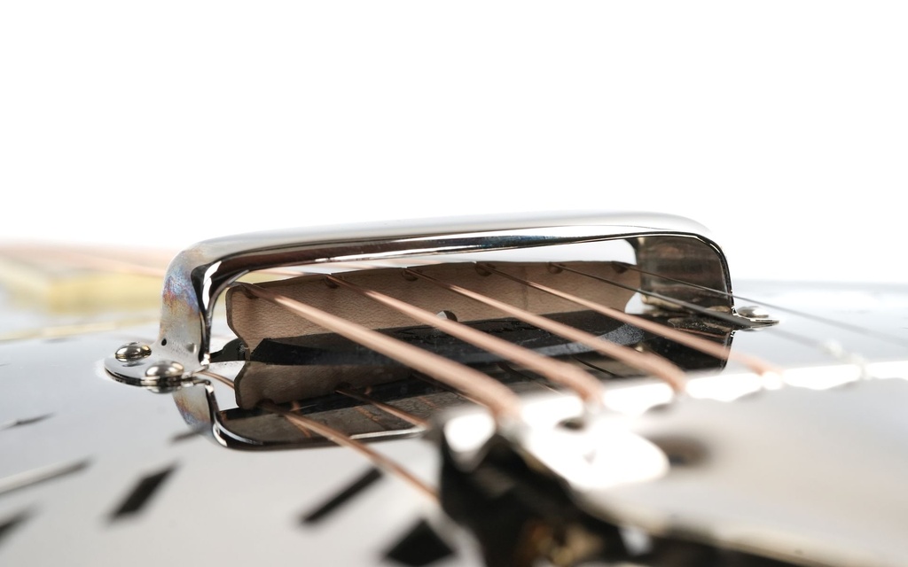 National Style O 14 fret 2024-11.jpg