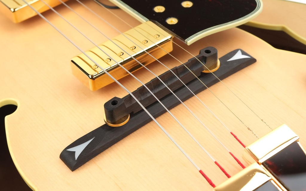 Ibanez GB10 George Benson Natural 2025-10.jpg