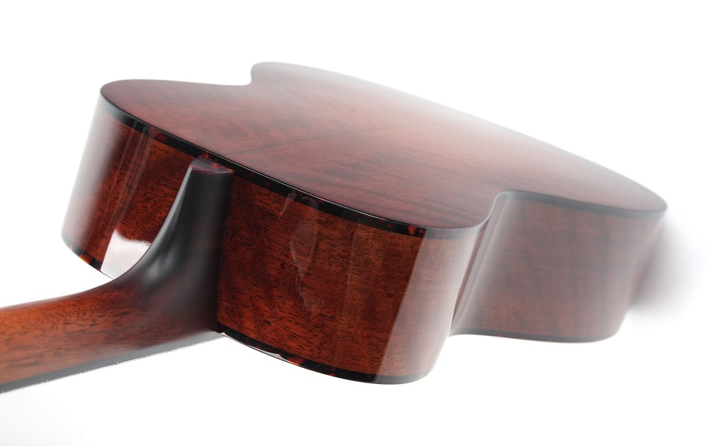 Eastman E10P Thermo Cured 12 Fret Natural-9.jpg