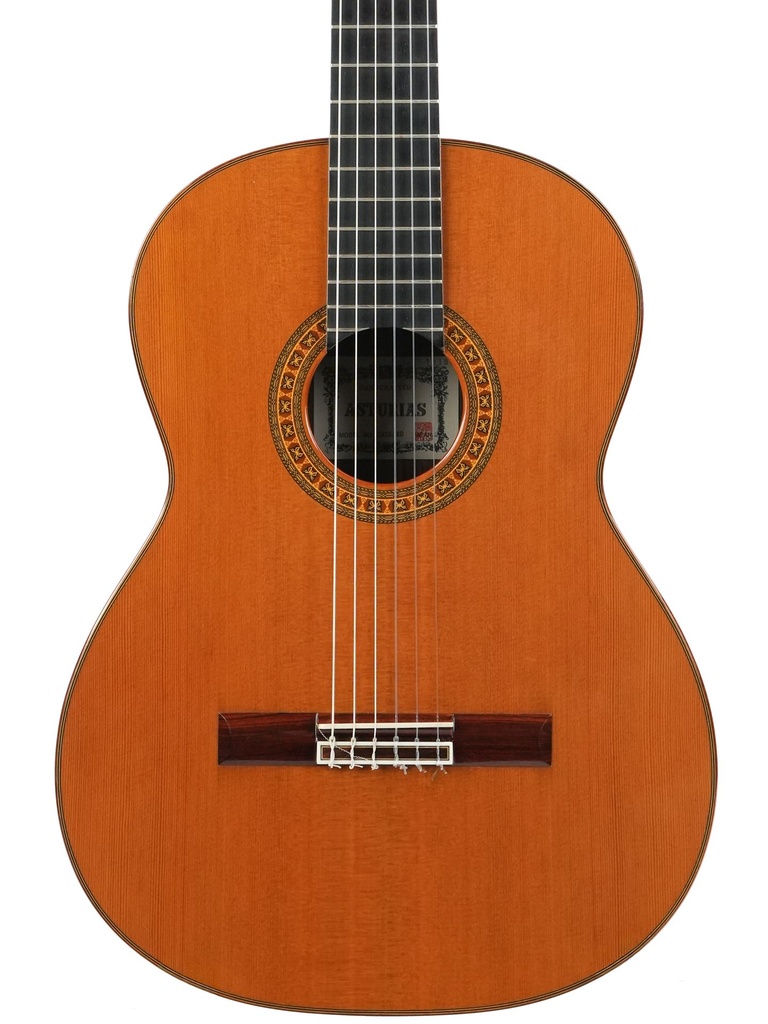 Asturias Standard Concert Spruce Rosewood 2000(?)-3.jpg