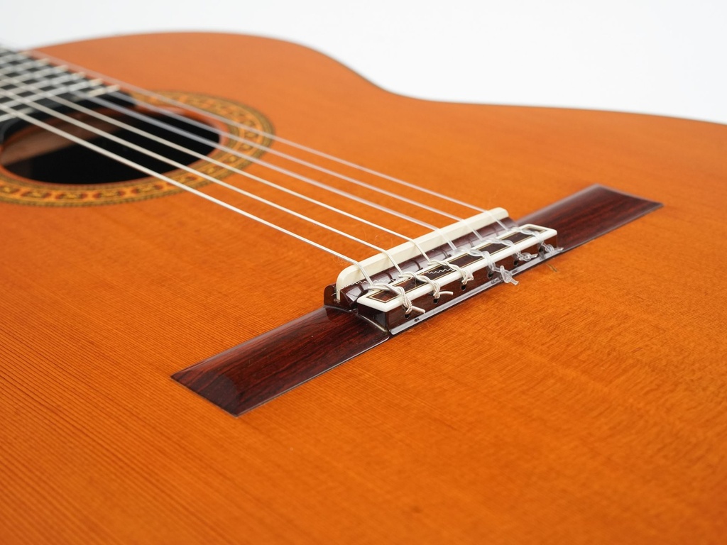 Asturias Standard Concert Spruce Rosewood 2000(?)-10.jpg