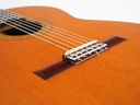 Asturias Standard Concert Spruce Rosewood 2000(?)-10.jpg