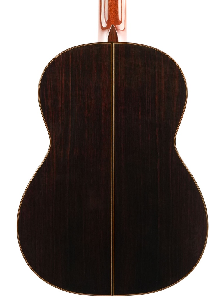 Asturias Standard Concert Spruce Rosewood 2000(?)-7.jpg