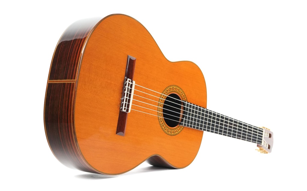 Asturias Standard Concert Spruce Rosewood 2000(?)-13.jpg