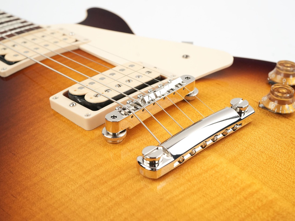 Gibson Les Paul Standard 50s Double Trouble Vintage Tobacco Burst Gloss-10.jpg