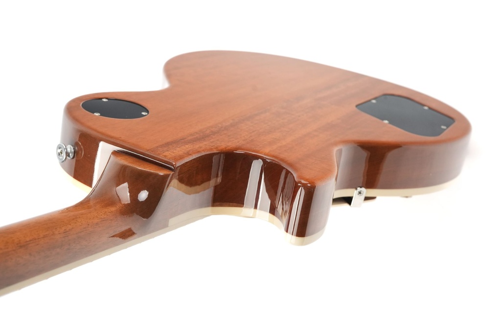 Gibson Les Paul Standard 50s Double Trouble Vintage Tobacco Burst Gloss-9.jpg