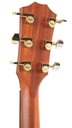 Taylor 214ce Koa Deluxe 2023-5.jpg