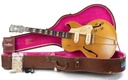 Gibson ES295 All Gold 1955.jpg