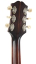 Epiphone Triumph Regent 1953-5.jpg