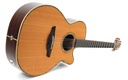 Takamine EN48C 1992-11.jpg