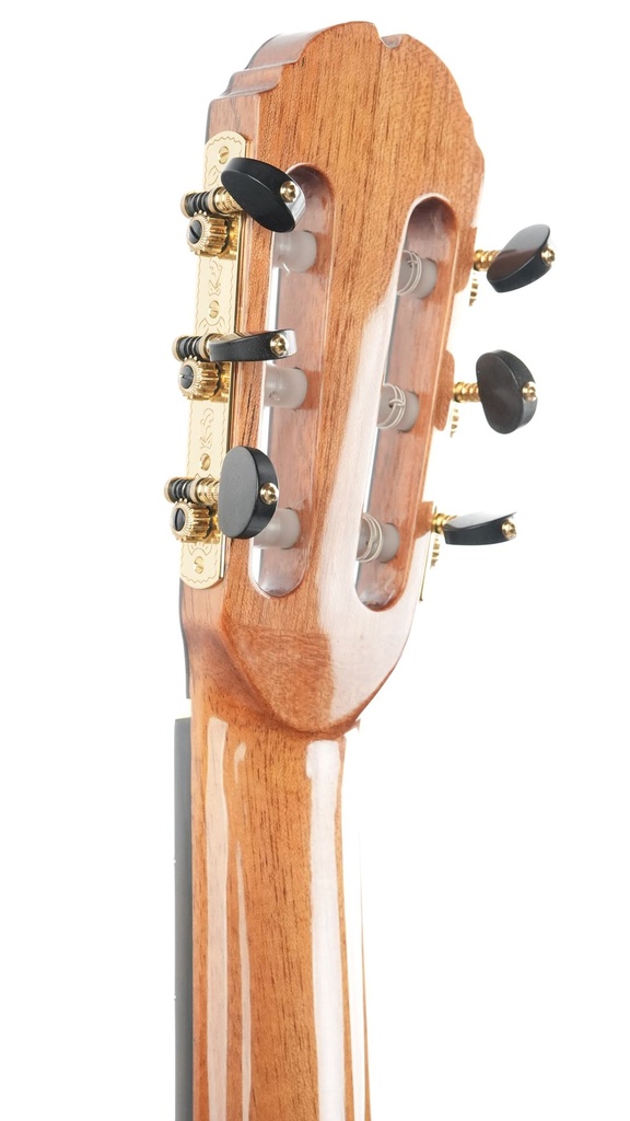 Mach Concert Standard Spruce Rosewood-6.jpg