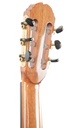 Mach Concert Standard Spruce Rosewood-6.jpg