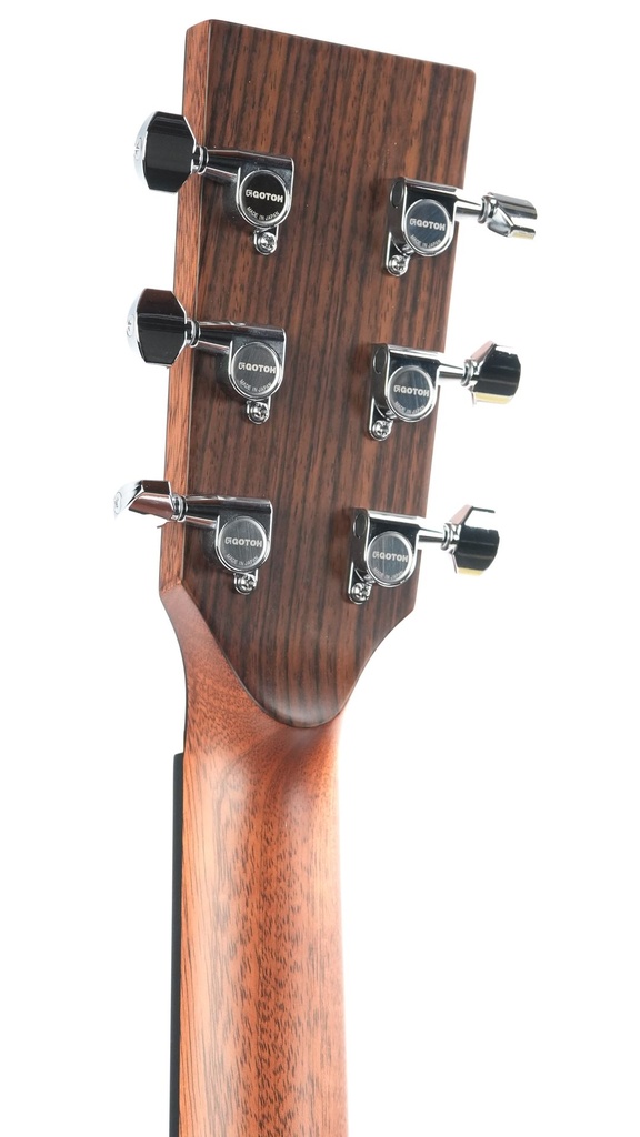 BSG D10F Sitka Mahogany-5.jpg