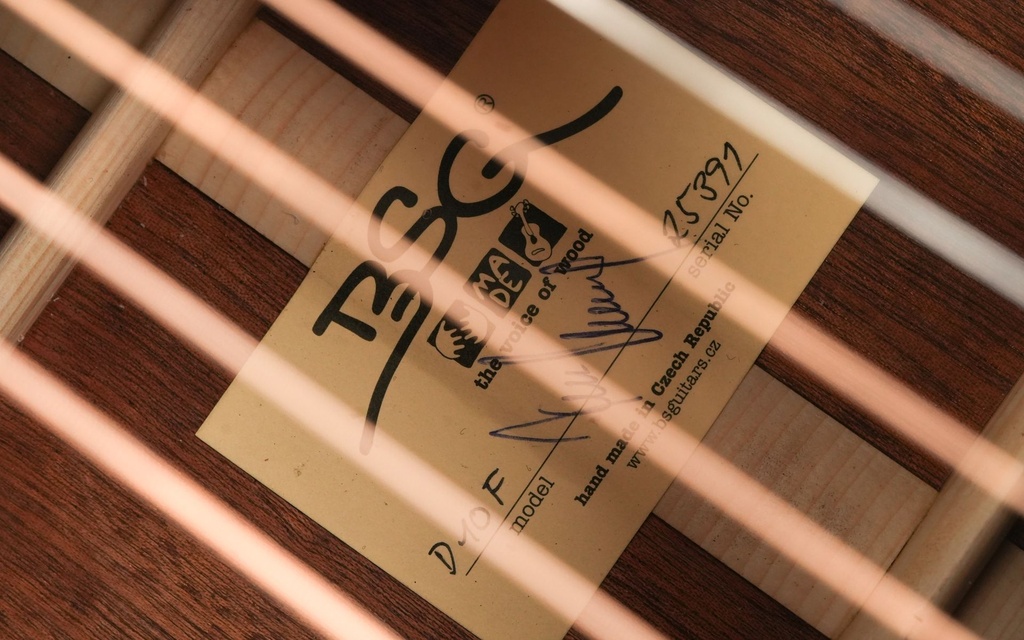 BSG D10F Sitka Mahogany-11.jpg