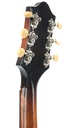 Epiphone Zenith 1939-5.jpg
