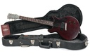 Gibson Les Paul Junior Cherry 1959.jpg