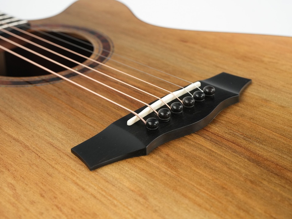 Laurie Williams Old Man River Kauri-10.jpg