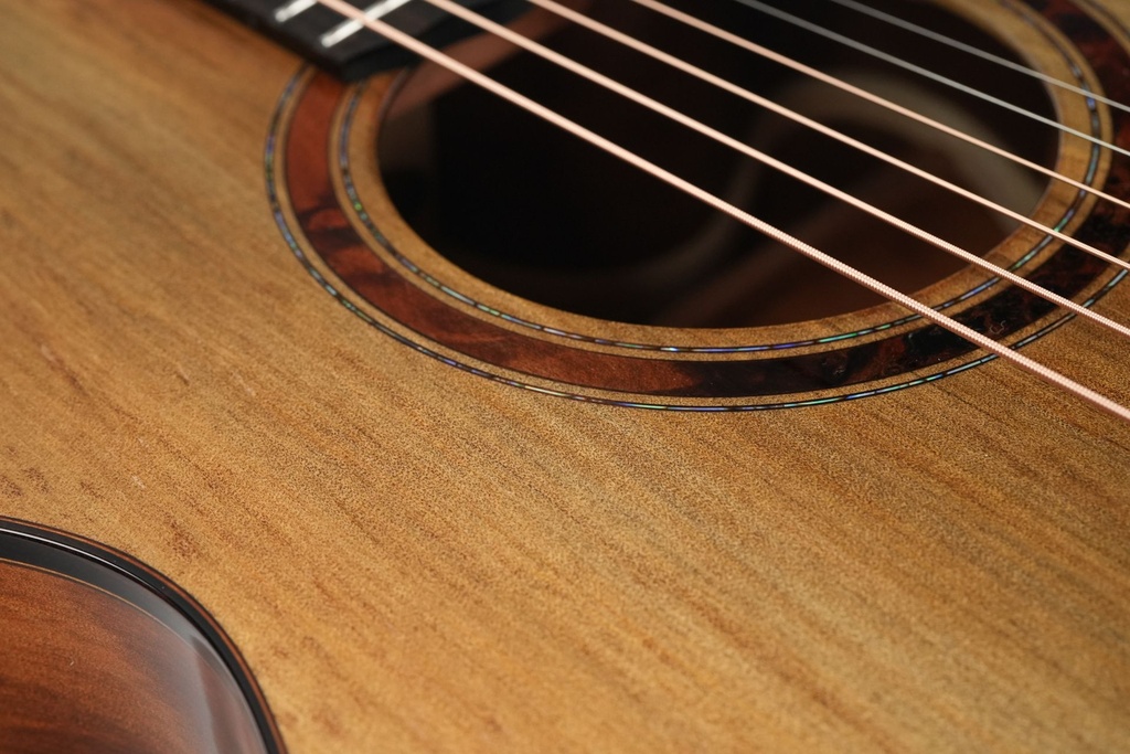 Laurie Williams Old Man River Kauri-11.jpg